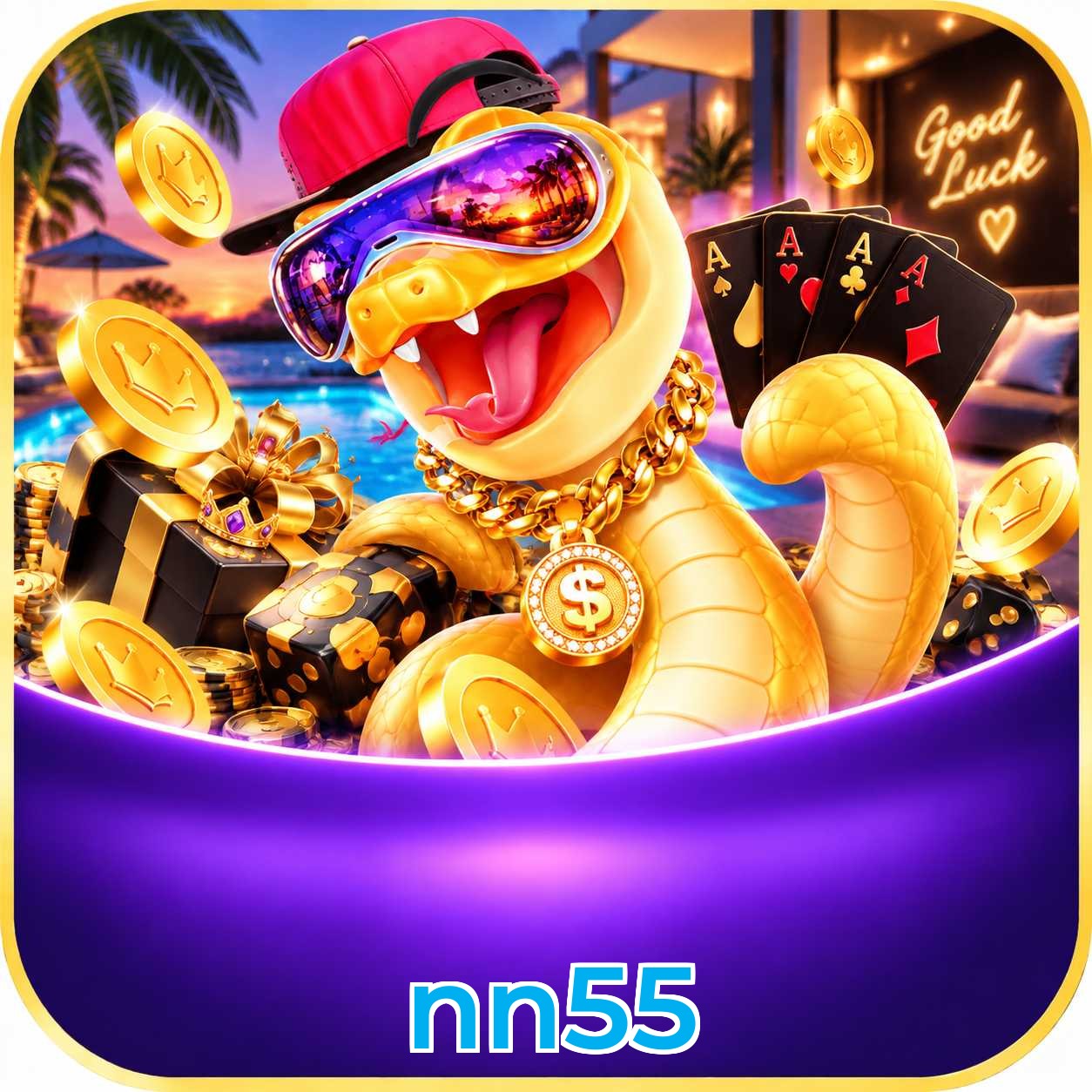 nn55 FAQ