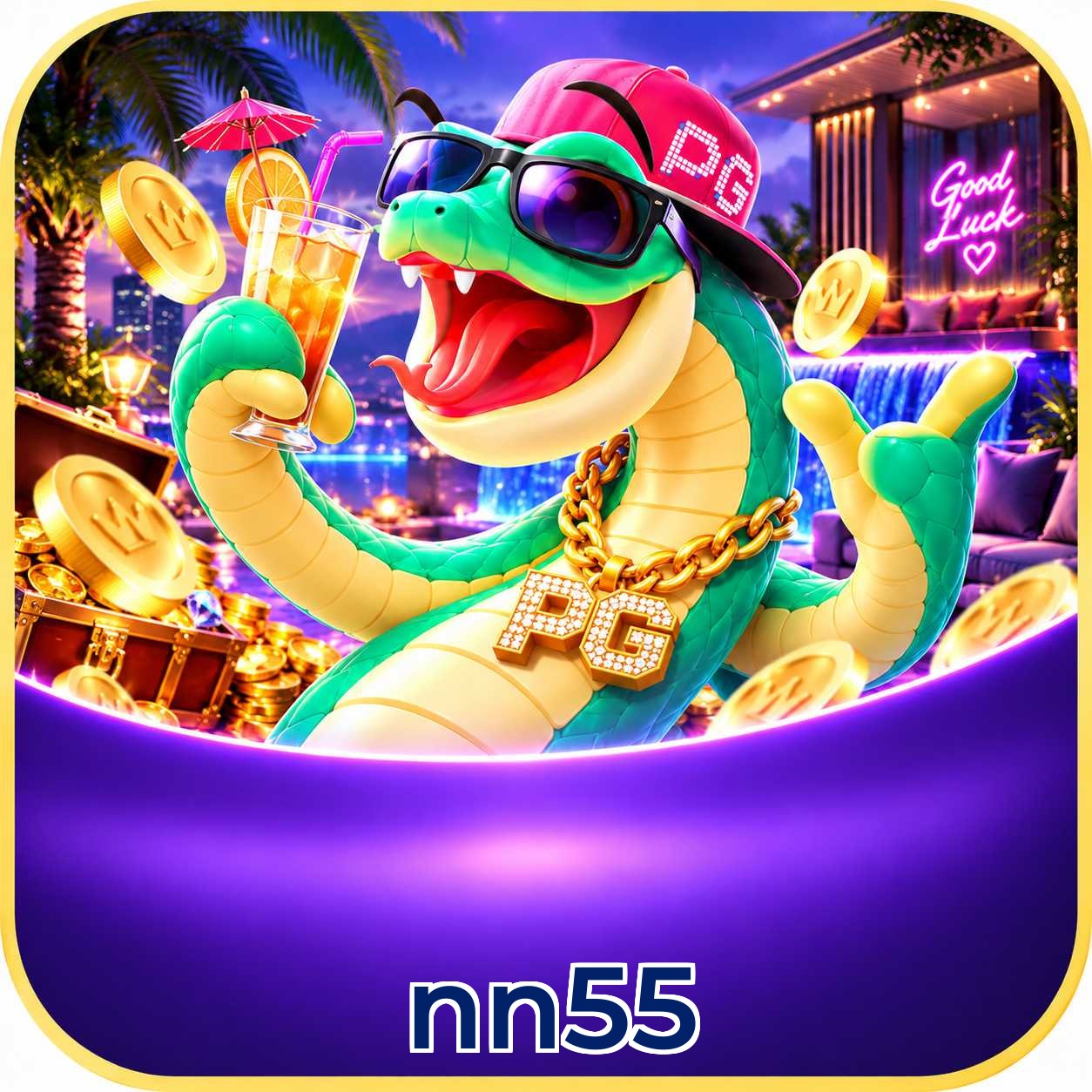 nn55 App Features