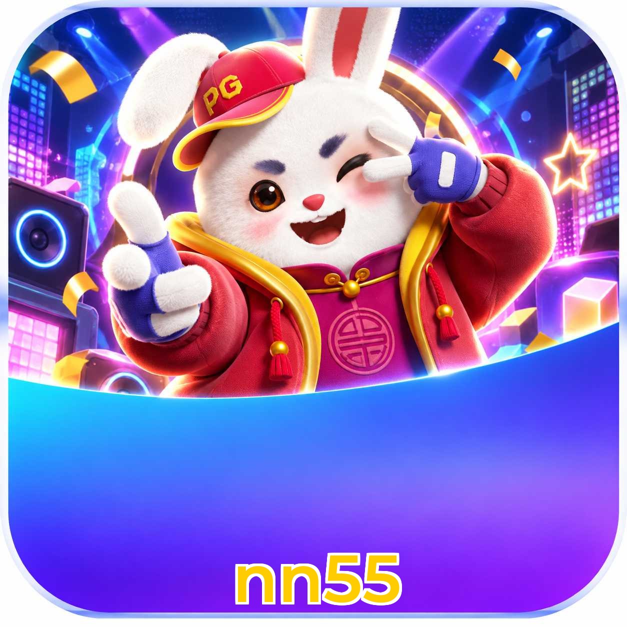 nn55 Interface