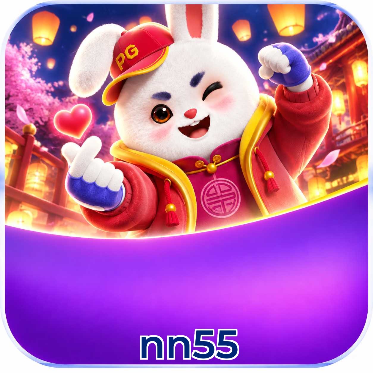 nn55 VIP Program