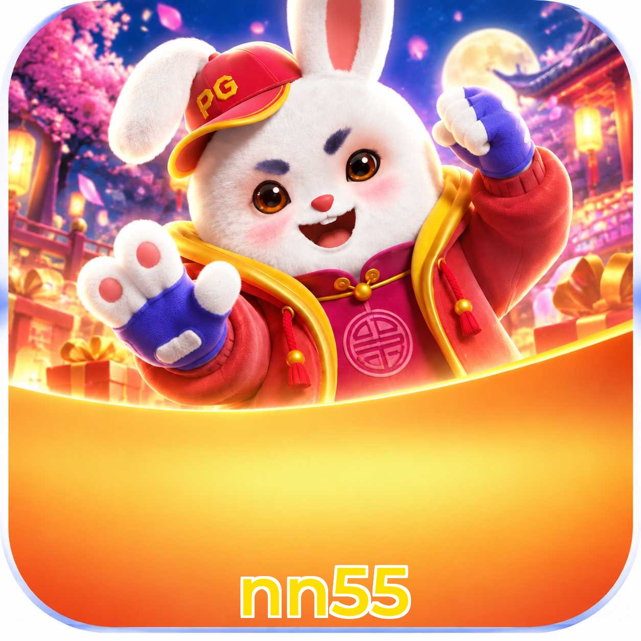 nn55 Recuperar Senha