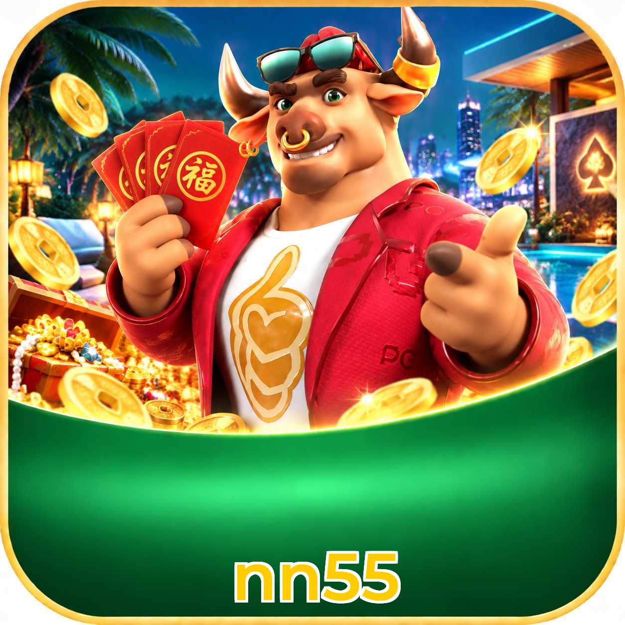 nn55 FAQ