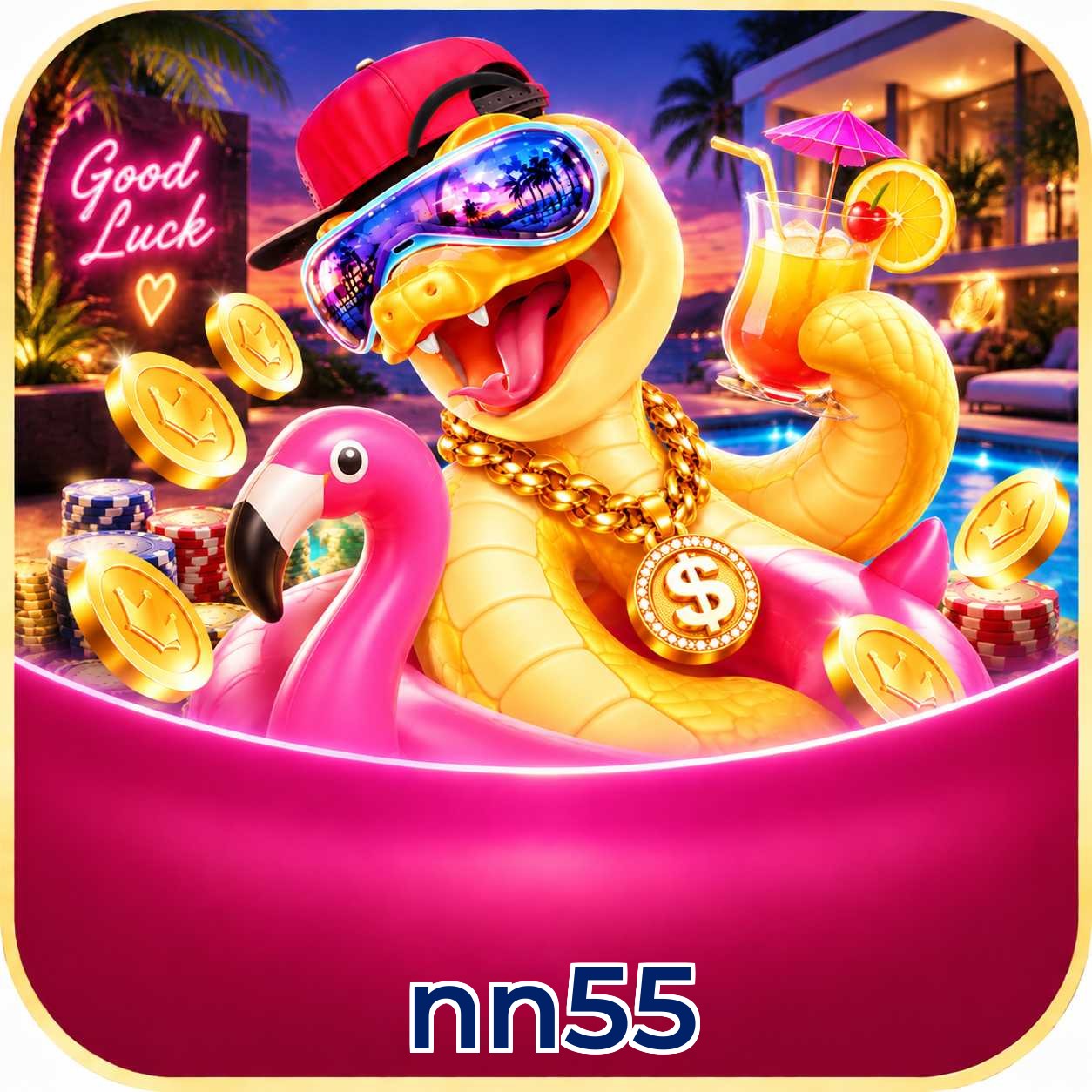 FAQ Baixar nn55